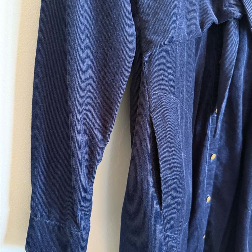 Anthropologie Maeve Winchester Corduroy Dress - Picture 8 of 12